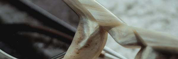 NATURAL HORN